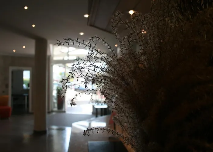 Bavaria מלון דינגולפינג